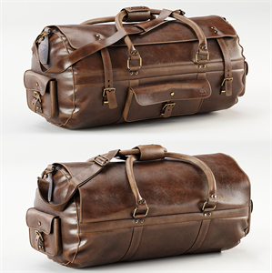 Modern Bag 3d Model
